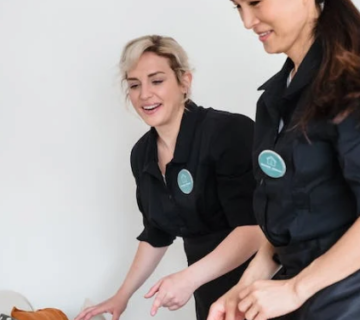 استقدم الآن عمالة منزلية مؤهلة بأقل التكاليف في السعودية: 150150