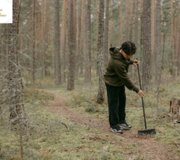طرق استقدام العمالة المنزلية بواسطة مساند