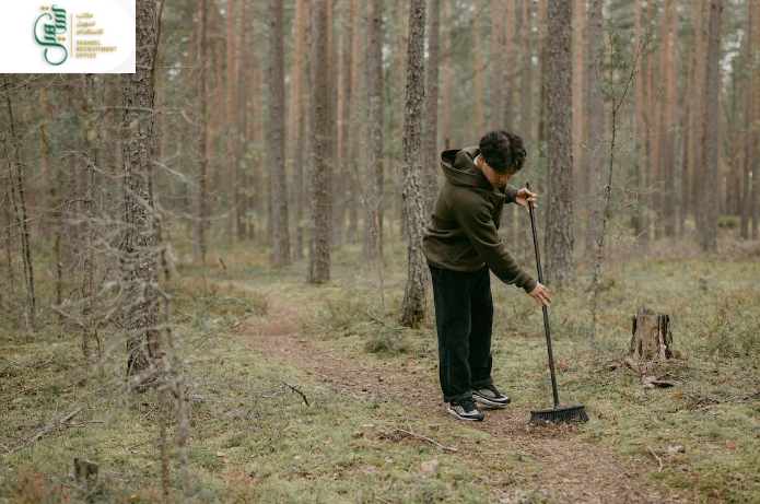 طرق استقدام العمالة المنزلية بواسطة مساند