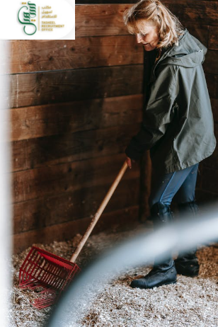 مكاتب استقدام مساند